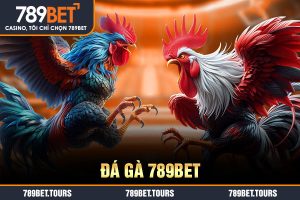 đá gà 789bet