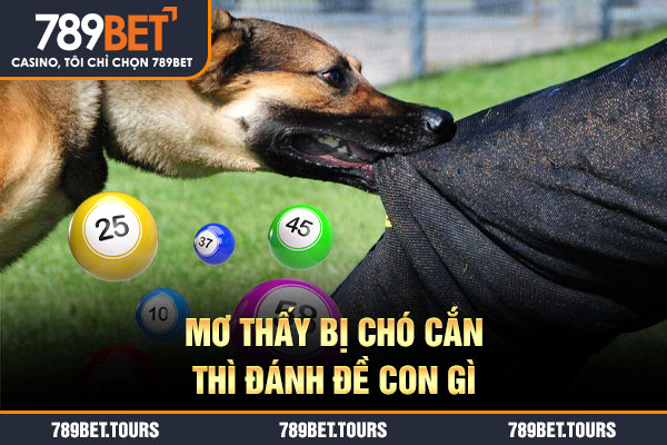 Mơ thấy bị chó cắn thì đánh đề con gì